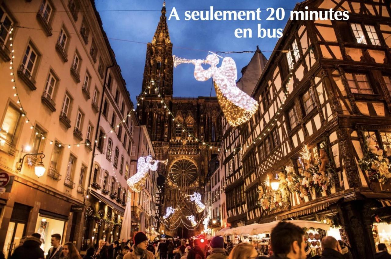 Appartement Rooftop - 5 Min Centre Ville Strasbourg ستشيلتيغهيم المظهر الخارجي الصورة